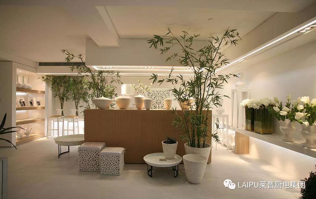 1544261458683247.jpg 1544261458683247.jpg