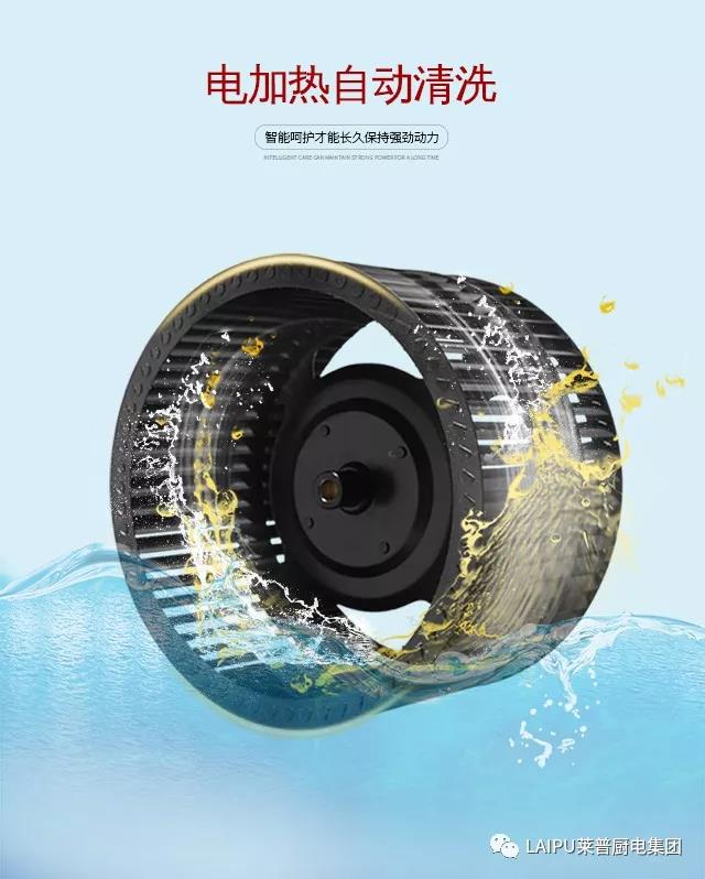 1552701963648431.jpg 5.jpg