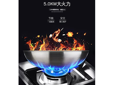 91视频免费版污神器91视频色版下载LP03DM，讓你在家也能滿漢全席