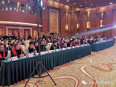 贏戰201991视频色版下载四川新品發布會暨核心經銷商峰會圓滿成功