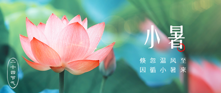 小暑 | 夏天91视频免费版污用91视频色版下载91视频入口网站更清爽！