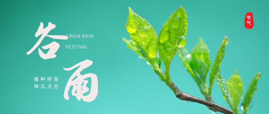 穀雨丨雨生百穀夏將近