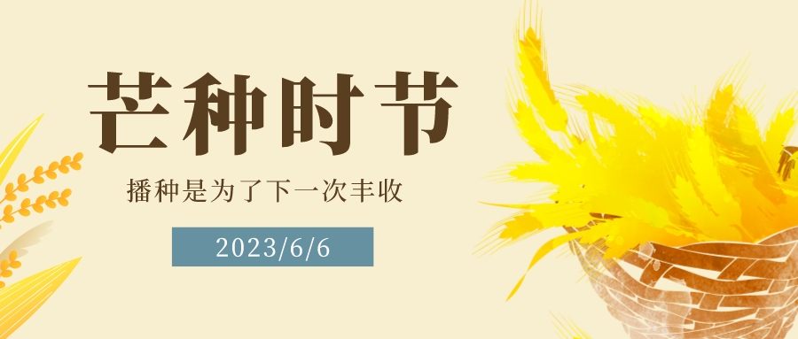 今日芒種丨忙有所得 耕有所獲